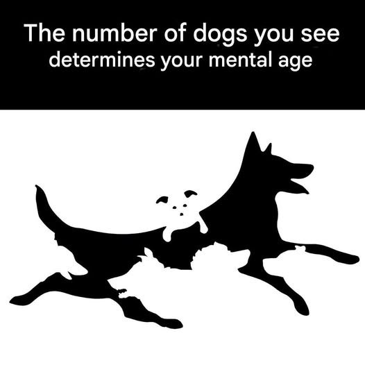 The Mental Age Dog Challenge