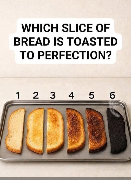 L’Art du Toast : Guide pour une Grillade à la Perfection